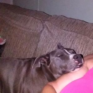 Meet your Posher, Ann